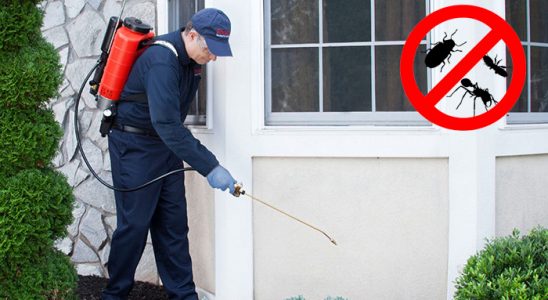 Kaynaklar Dezenfeksiyon böcek ilaçlama ve haşere kontrolü — ilaclama-tr.com